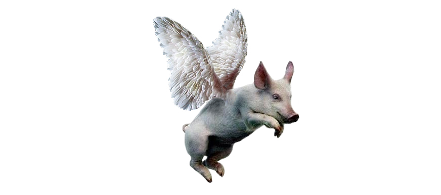 When Pigs Fly and the Problem with Judicial Decisions